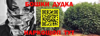МДПВ Новокубанск