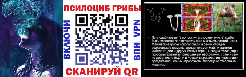 Псилоцибиновые грибы Psilocybe  Соликамск 