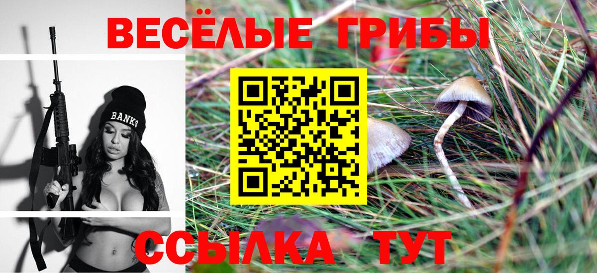 Соликамск  Псилоцибиновые грибы Magic Shrooms  купить наркотик  Вход с VPN  Псилоцибиновые грибы Magic Shrooms 